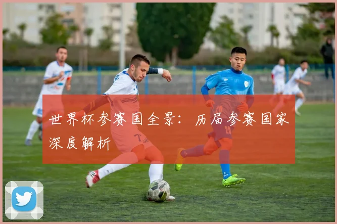 世界杯参赛国全景：历届参赛国家深度解析