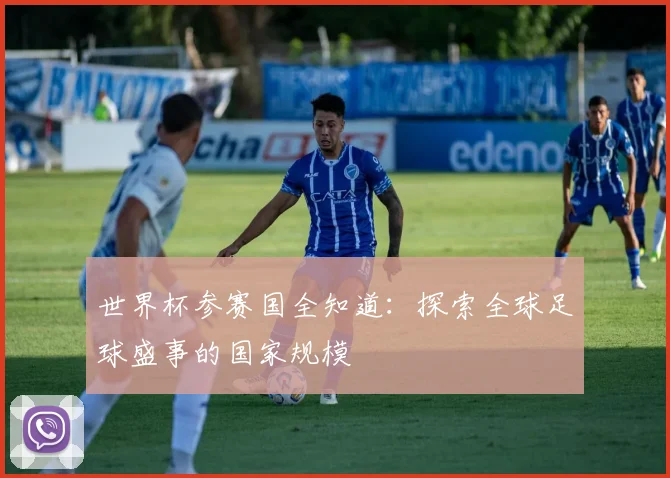 世界杯参赛国全知道：探索全球足球盛事的国家规模