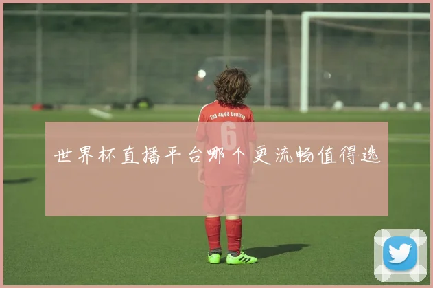 世界杯直播平台哪个更流畅值得选