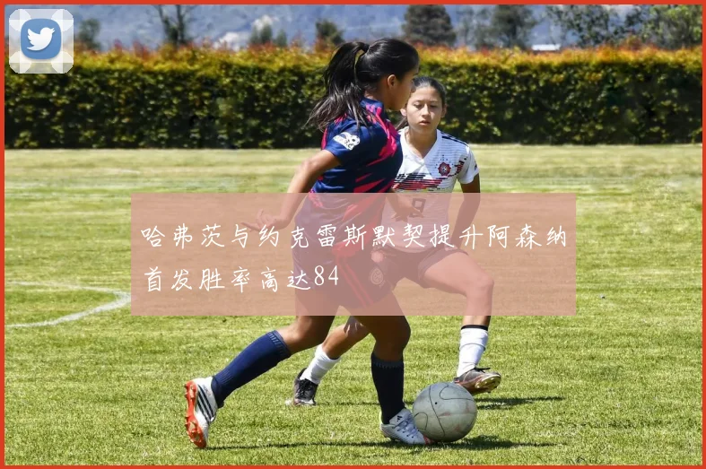 哈弗茨与约克雷斯默契提升阿森纳首发胜率高达84