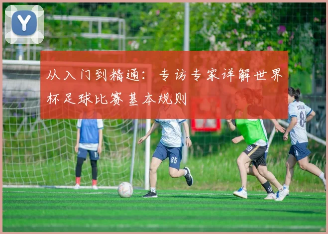 从入门到精通：专访专家详解世界杯足球比赛基本规则