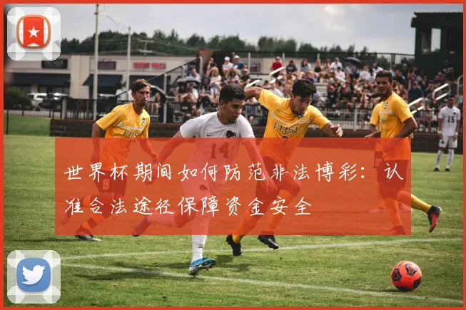 世界杯期间如何防范非法博彩：认准合法途径保障资金安全