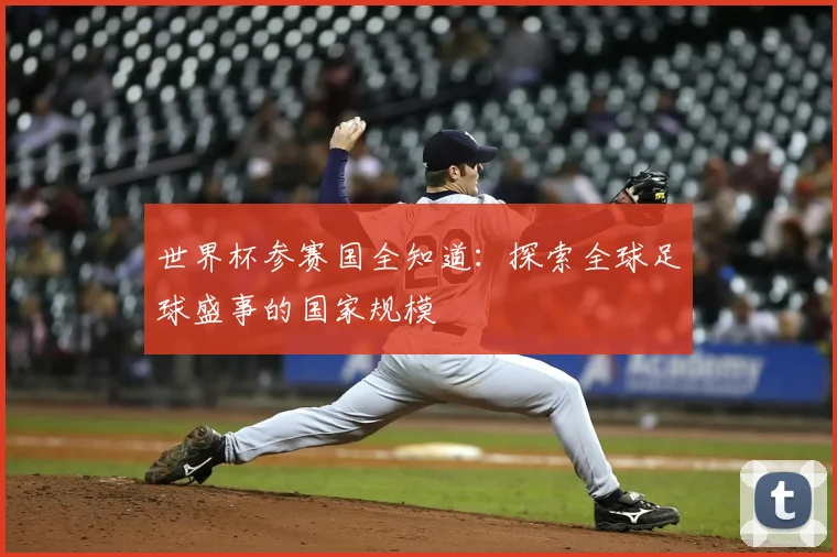 世界杯参赛国全知道：探索全球足球盛事的国家规模