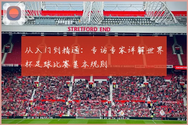 从入门到精通：专访专家详解世界杯足球比赛基本规则